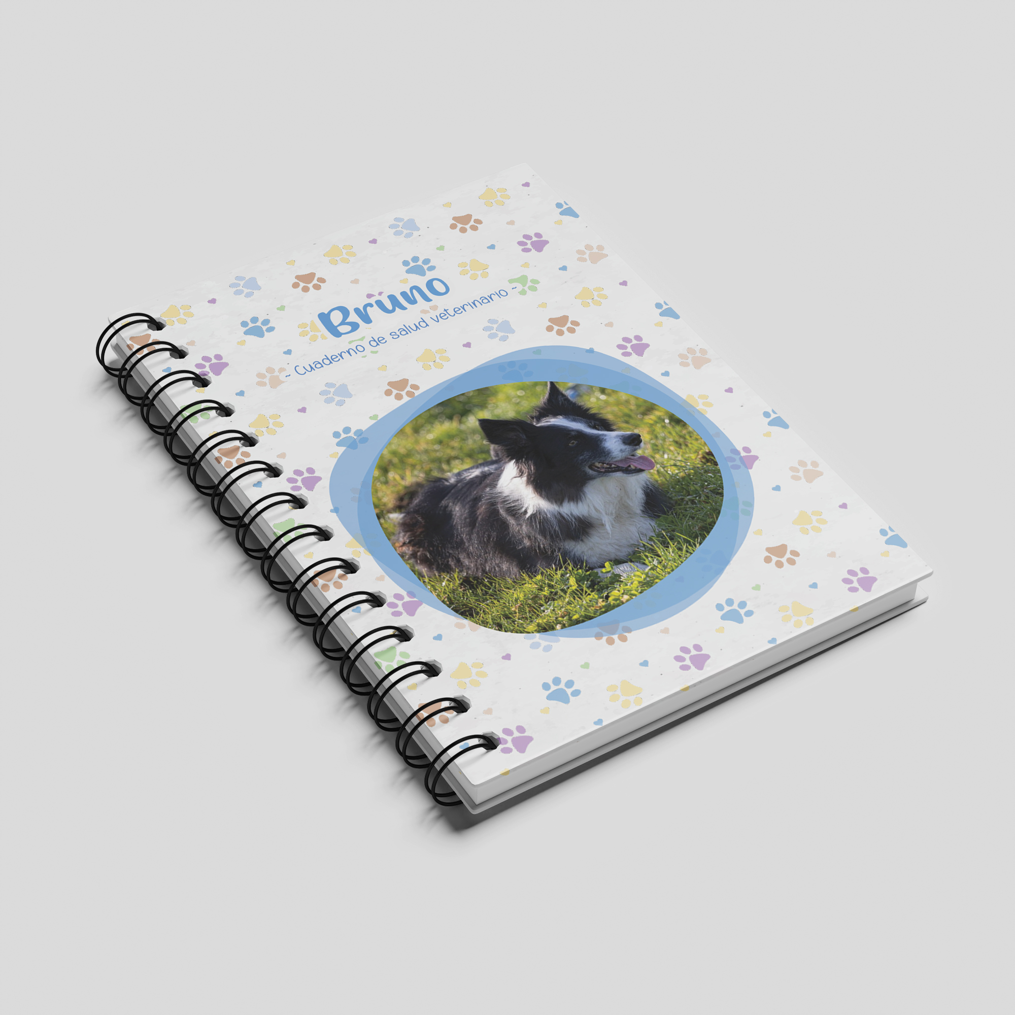 Cuaderno veterinario